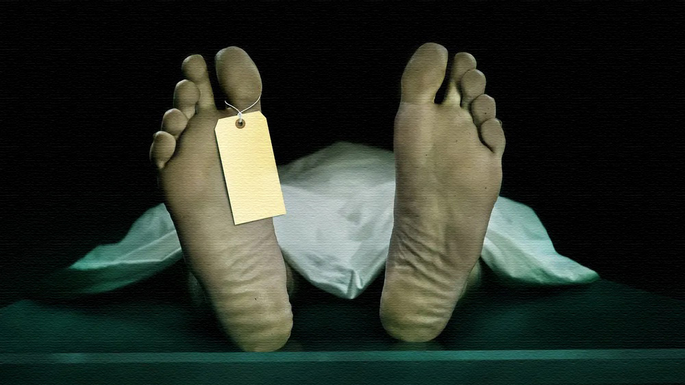 Increasing Death Rates, Plummeting Birth Rates, Sudden Adult Death Syndrome (SADS)