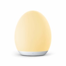 Multi-Colored LED Nightlight Multi-Colored LED Nightlight