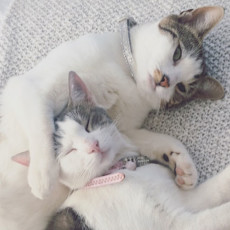 Leila & Lola Leila & Lola